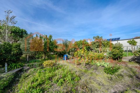 Landejendom i Pombal, Leiria, Pombal - € 290.000 | Ref: SAFTI:006112 - foto 46