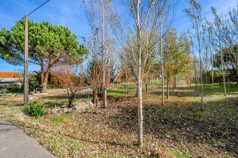 Landejendom i Pombal, Leiria, Pombal - € 290.000 | Ref: SAFTI:006112 - foto 48