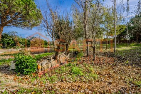 Landejendom i Pombal, Leiria, Pombal - € 290.000 | Ref: SAFTI:006112 - foto 49
