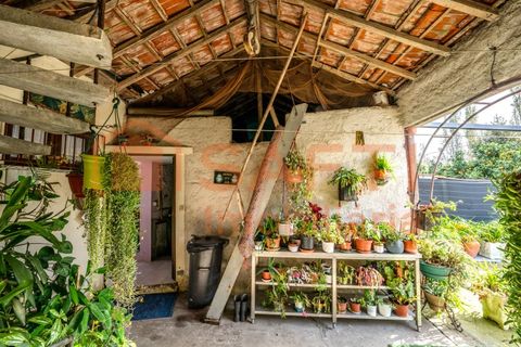 Landejendom i Pombal, Leiria, Pombal - € 290.000 | Ref: SAFTI:006112 - foto 50