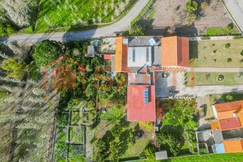 Landejendom i Pombal, Leiria, Pombal - € 290.000 | Ref: SAFTI:006112 - foto 3
