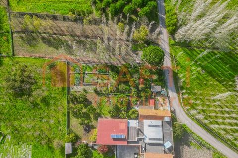 Landejendom i Pombal, Leiria, Pombal - € 290.000 | Ref: SAFTI:006112 - foto 18