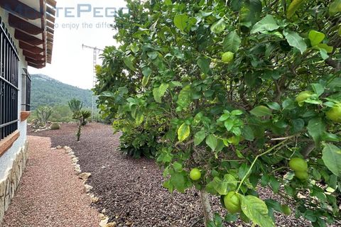 Villa i Pego, Alicante, Pego - € 549.000 | Ref: CAS_180 - foto 20