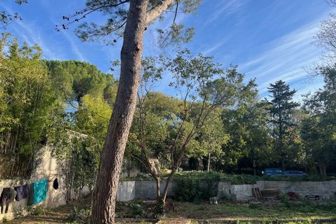 Terra a Montpellier, Herault, Montpellier - € 249.000 | Ref: CBVTE40000061 - foto 2