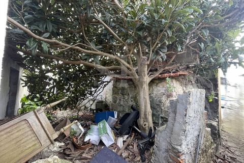 Ruinere i Ferrel, Leiria, Ferrel - € 385.000 | Ref: SP 276 - foto 20