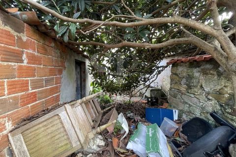 Ruinere i Ferrel, Leiria, Ferrel - € 385.000 | Ref: SP 276 - foto 21