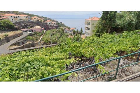 Helårsgrund i Calheta, Madeira, Calheta - € 350.000 | Ref: MC_52 - foto 1