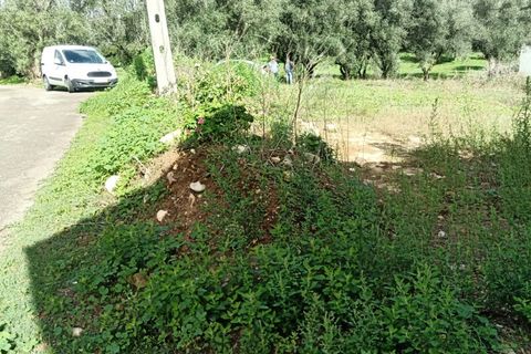 Helårsgrund i Leiria, Leiria, Leiria - € 130.000 | Ref: TER_210 - foto 6