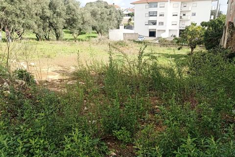 Helårsgrund i Leiria, Leiria, Leiria - € 130.000 | Ref: TER_210 - foto 7