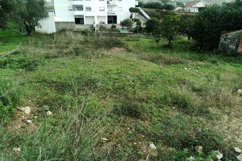 Helårsgrund i Leiria, Leiria, Leiria - € 130.000 | Ref: TER_210 - foto 11