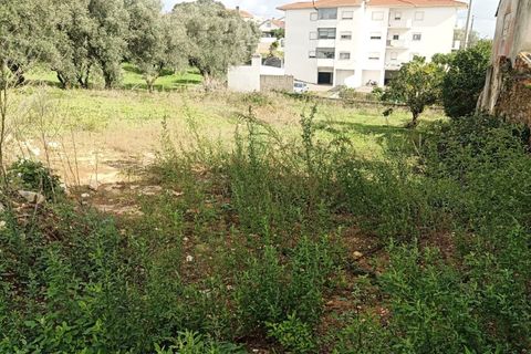 Helårsgrund i Leiria, Leiria, Leiria - € 130.000 | Ref: TER_210 - foto 15
