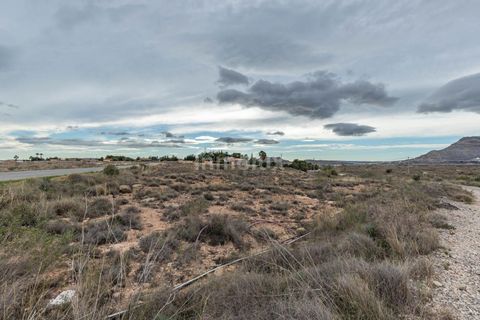 Finca in Alicante, Alicante - Foto 4