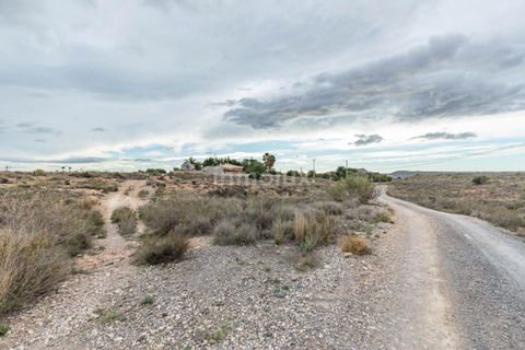 Finca in Alicante, Alicante - Foto 5