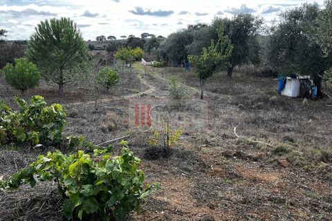 Villa a Almodovar, Beja, Almodovar - € 90.000 | Ref: 1042MJ - foto 2