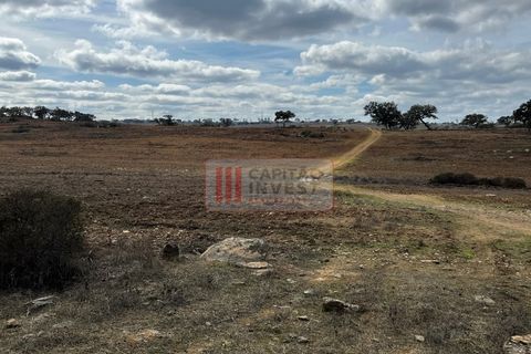 Villa a Almodovar, Beja, Almodovar - € 90.000 | Ref: 1042MJ - foto 26