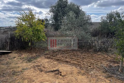 Villa a Almodovar, Beja, Almodovar - € 90.000 | Ref: 1042MJ - foto 29