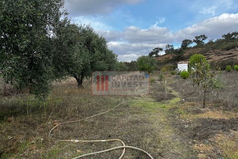 Villa a Almodovar, Beja, Almodovar - € 90.000 | Ref: 1042MJ - foto 30