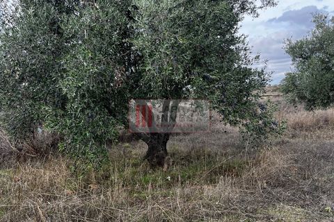 Villa a Almodovar, Beja, Almodovar - € 90.000 | Ref: 1042MJ - foto 31