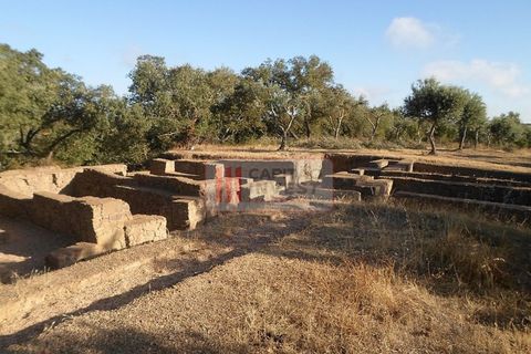 Villa a Almodovar, Beja, Almodovar - € 90.000 | Ref: 1042MJ - foto 35