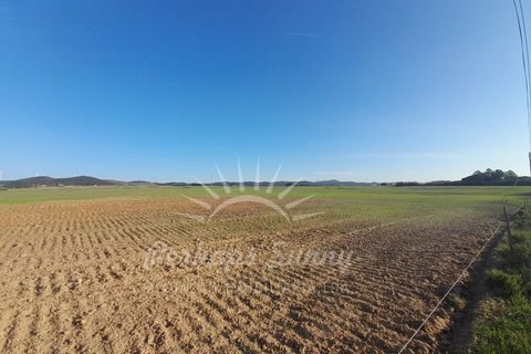 Helårsgrund i Sines, Setubal, Sines - € 1.500.000 | Ref: PHS655/24 - foto 1