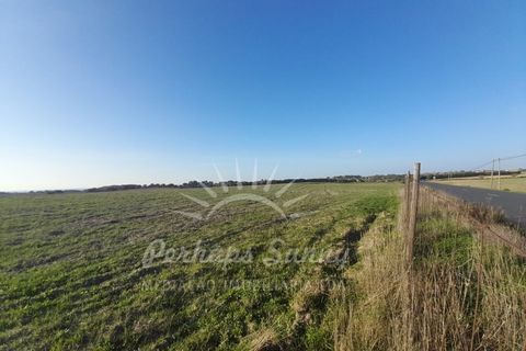 Helårsgrund i Sines, Setubal, Sines - € 1.500.000 | Ref: PHS655/24 - foto 3