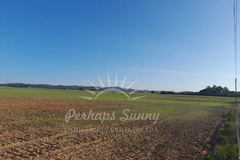 Helårsgrund i Sines, Setubal, Sines - € 1.500.000 | Ref: PHS655/24 - foto 7