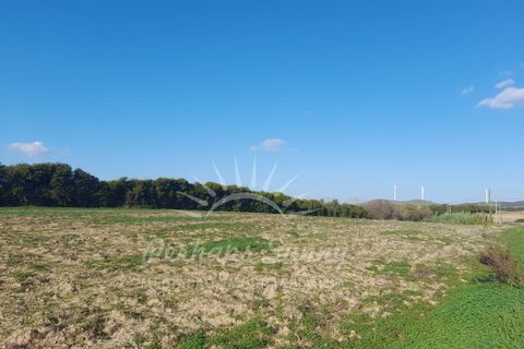 Helårsgrund i Sines, Setubal, Sines - € 1.500.000 | Ref: PHS655/24 - foto 8
