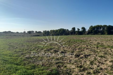 Helårsgrund i Sines, Setubal, Sines - € 1.500.000 | Ref: PHS655/24 - foto 9