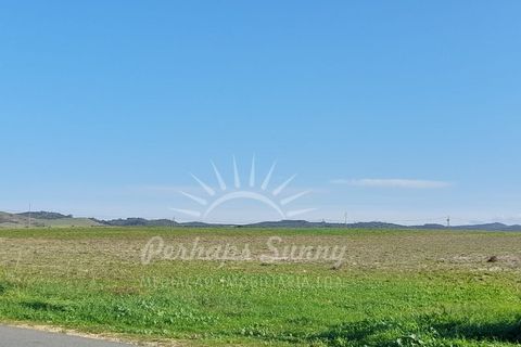 Helårsgrund i Sines, Setubal, Sines - € 1.500.000 | Ref: PHS655/24 - foto 17