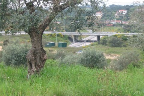 Helårsgrund i Tomar, Santarem, Tomar - € 45.000 | Ref: 2739 - foto 2