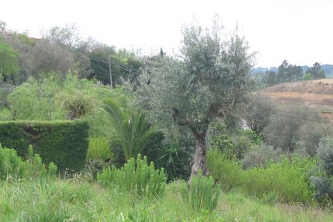Helårsgrund i Tomar, Santarem, Tomar - € 45.000 | Ref: 2739 - foto 3