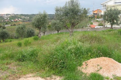 Helårsgrund i Tomar, Santarem, Tomar - € 25.000 | Ref: 2738 - foto 4