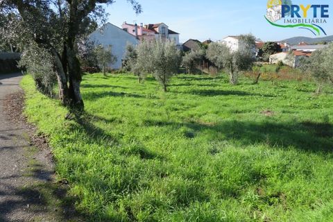 Villa i Serta, Castelo Branco, Serta - € 65.000 | Ref: VF313 - foto 19