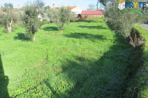 Villa i Serta, Castelo Branco, Serta - € 65.000 | Ref: VF313 - foto 20