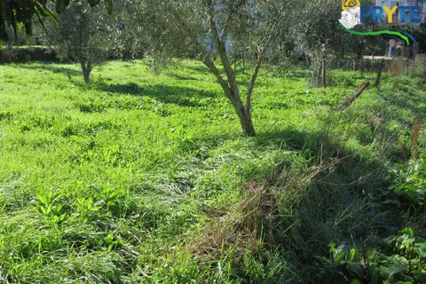Villa i Serta, Castelo Branco, Serta - € 65.000 | Ref: VF313 - foto 21