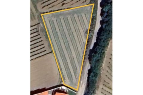 Terreno en Alenquer, Lisbon, Alenquer - € 80.000 | Ref: SÒL_127 - photo 2