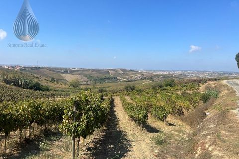 Terreno en Alenquer, Lisbon, Alenquer - € 80.000 | Ref: SÒL_127 - photo 3