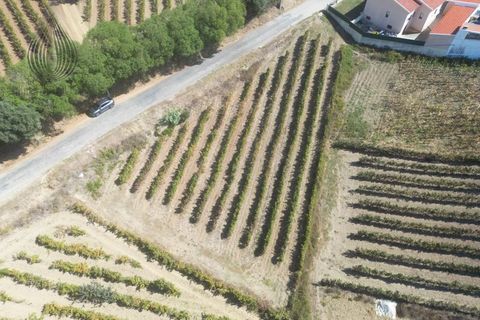 Terreno en Alenquer, Lisbon, Alenquer - € 80.000 | Ref: SÒL_127 - photo 4