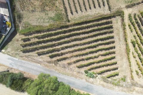 Terreno en Alenquer, Lisbon, Alenquer - € 80.000 | Ref: SÒL_127 - photo 5