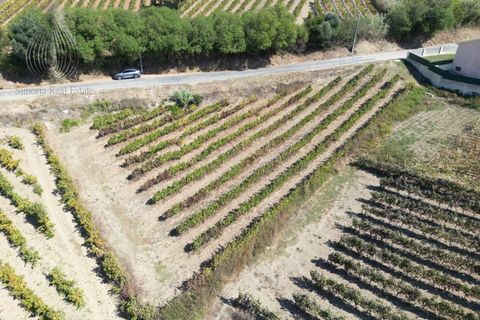 Terreno en Alenquer, Lisbon, Alenquer - € 80.000 | Ref: SÒL_127 - photo 6