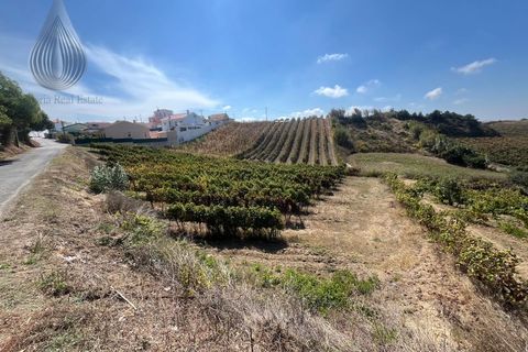 Terreno en Alenquer, Lisbon, Alenquer - € 80.000 | Ref: SÒL_127 - photo 8