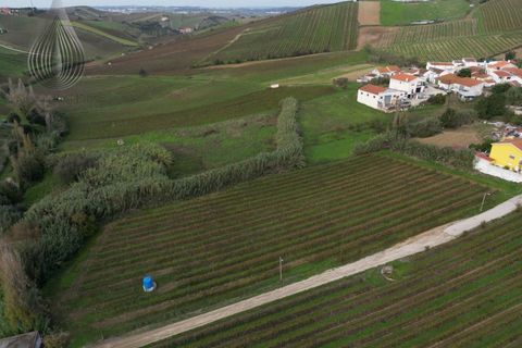 Helårsgrund i Alenquer, Lisbon, Alenquer - € 170.000 | Ref: SÒL_126 - foto 5