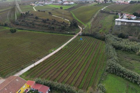 Helårsgrund i Alenquer, Lisbon, Alenquer - € 170.000 | Ref: SÒL_126 - foto 6