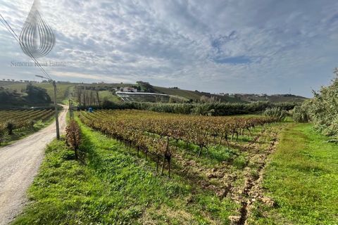 Helårsgrund i Alenquer, Lisbon, Alenquer - € 170.000 | Ref: SÒL_126 - foto 7