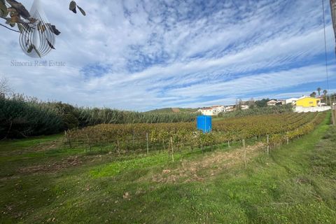 Helårsgrund i Alenquer, Lisbon, Alenquer - € 170.000 | Ref: SÒL_126 - foto 8