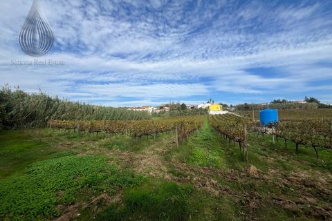 Helårsgrund i Alenquer, Lisbon, Alenquer - € 170.000 | Ref: SÒL_126 - foto 9