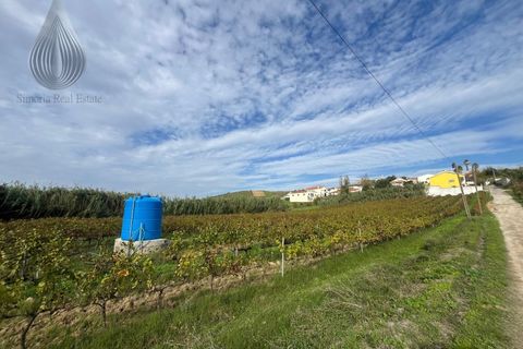 Helårsgrund i Alenquer, Lisbon, Alenquer - € 170.000 | Ref: SÒL_126 - foto 10