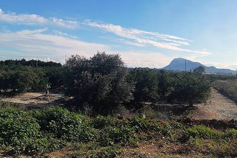 Terra a El Verger, Alicante, El Verger - € 340.000 | Ref: RU 0297 - foto 6