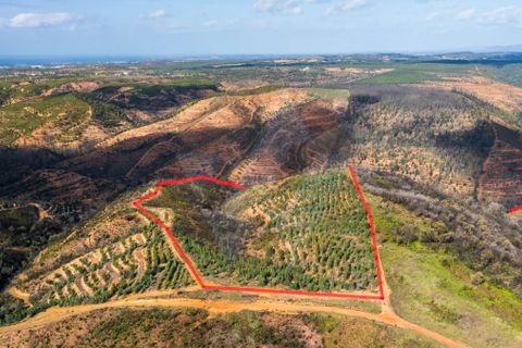 Villa i Odemira, Beja, Odemira - € 220.000 | Ref: Qt-841 - foto 10