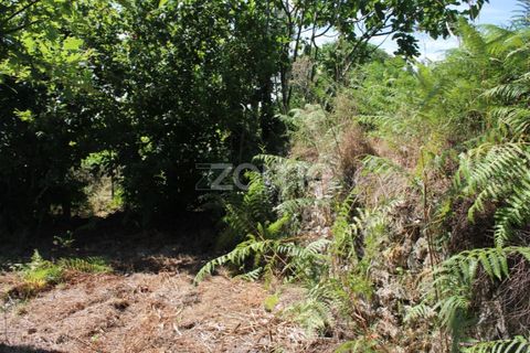 Helårsgrund i Mangualde, Viseu, Mangualde - € 26.000 | Ref: ZMPT569399 - foto 5